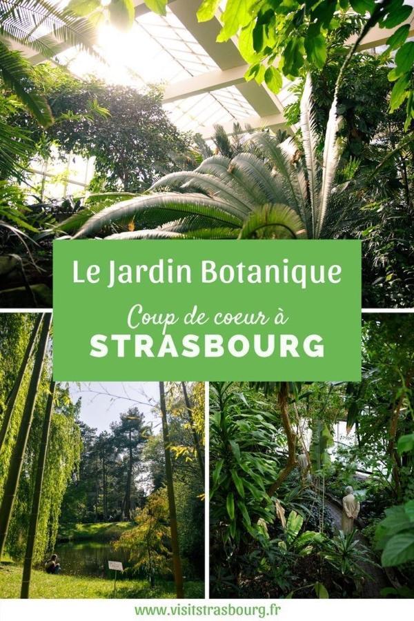 Appartement 6 Personnes Strasbourg Proche Centre Ville & Parking Eksteriør bilde